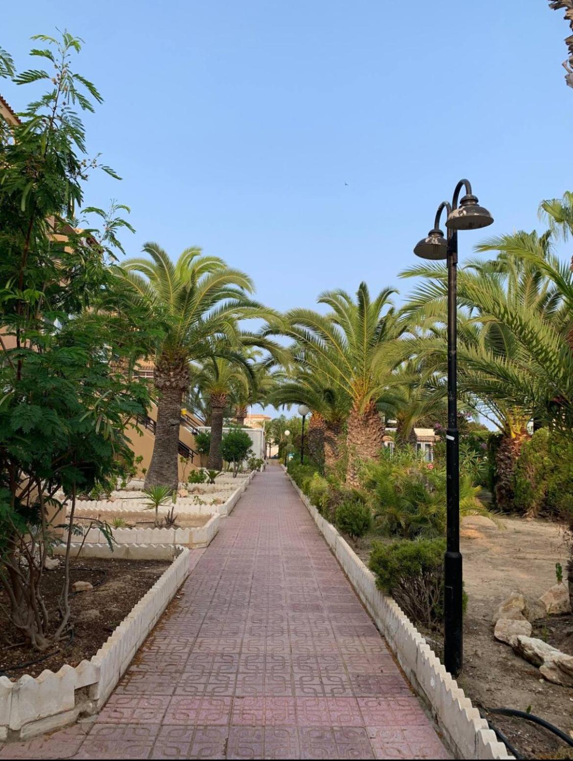 Under The Palm Trees Appartement Torrevieja Buitenkant foto