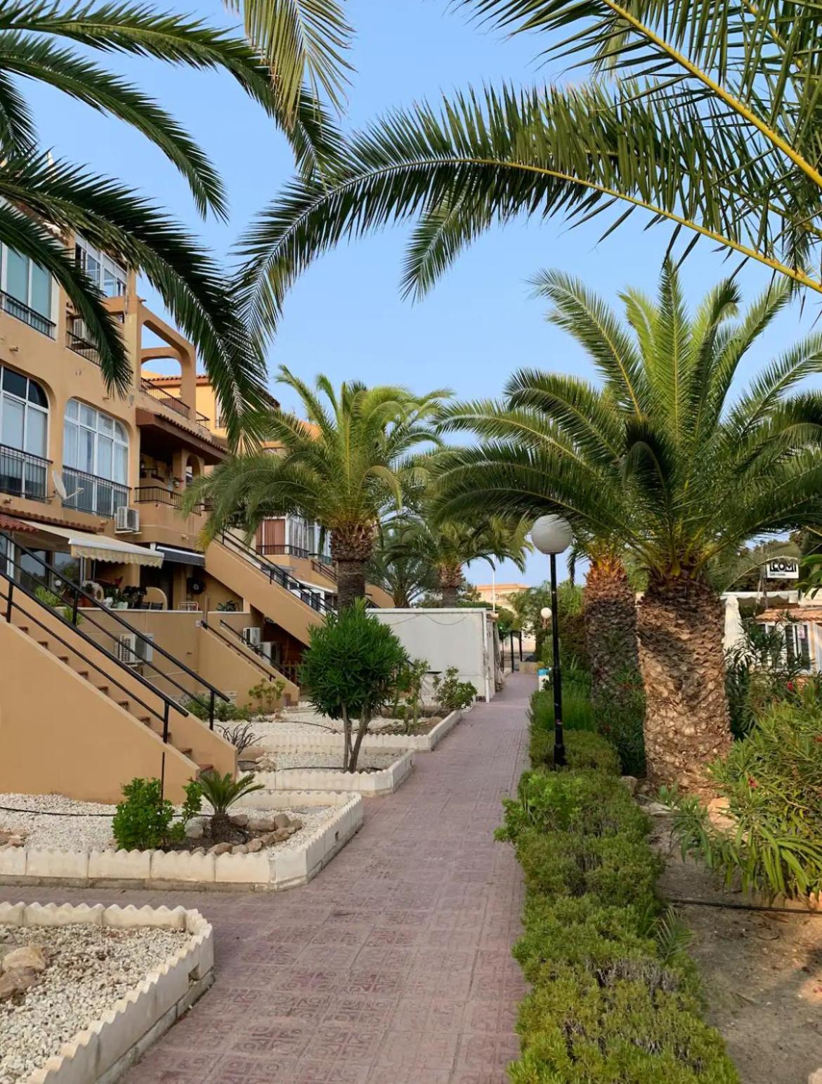 Under The Palm Trees Appartement Torrevieja Buitenkant foto