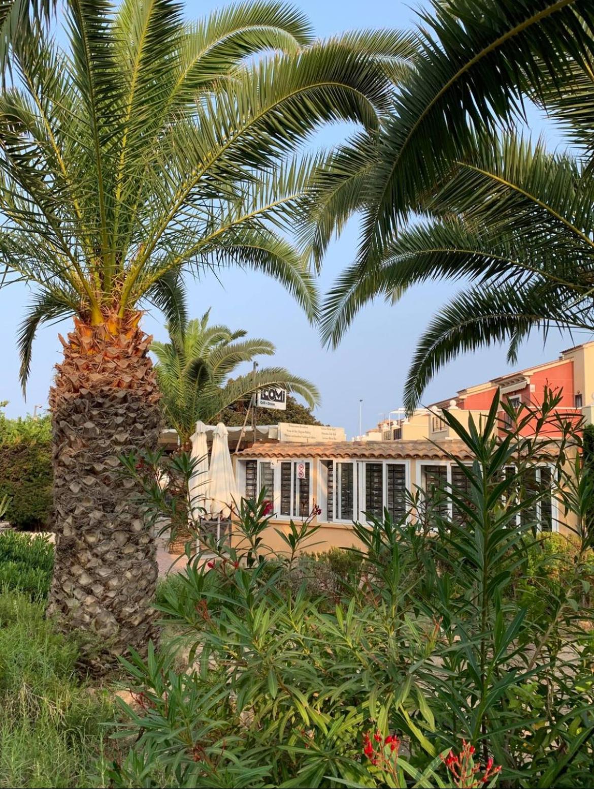 Under The Palm Trees Appartement Torrevieja Buitenkant foto